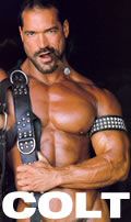 C O L T Studio